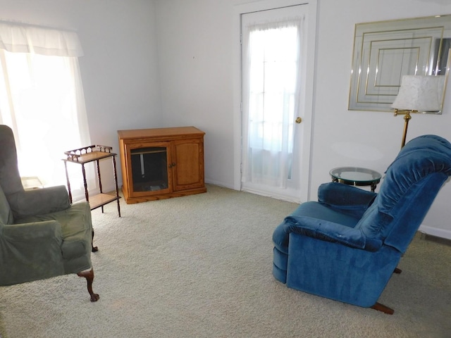4256 W Egan Rd, Leaf River, IL 61047 - sitting room featuring carpet floors