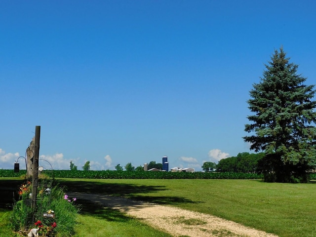 4256 W Egan Rd, Leaf River, IL 61047 - view of community featuring a lawn