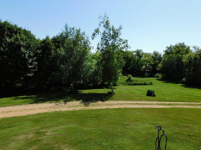 4256 W Egan Rd, Leaf River, IL 61047 - view of community featuring a yard