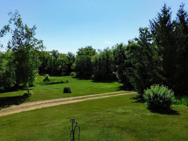4256 W Egan Rd, Leaf River, IL 61047 - view of home's community featuring a yard