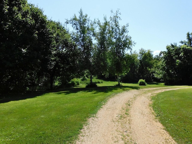 4256 W Egan Rd, Leaf River, IL 61047 - view of dirt / gravel road