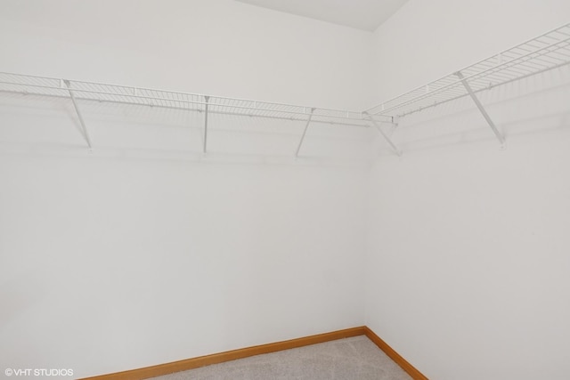 133 Springbrook Trl S, Oswego, IL 60543 - walk in closet with light colored carpet