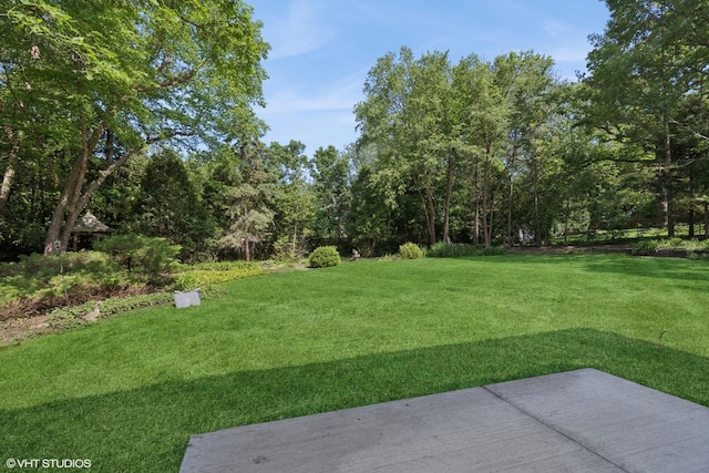 160 Forest View Dr, Lake Bluff, IL 60044 - photo 15