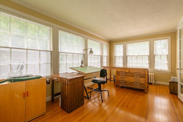 1286 W Stephenson St, Freeport, IL 61032 - home office with radiator, light wood-style flooring, and crown molding