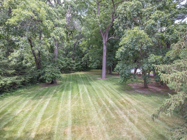 1286 W Stephenson St, Freeport, IL 61032 - view of grassy yard