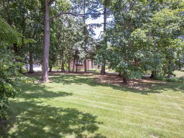 1286 W Stephenson St, Freeport, IL 61032 - view of green lawn