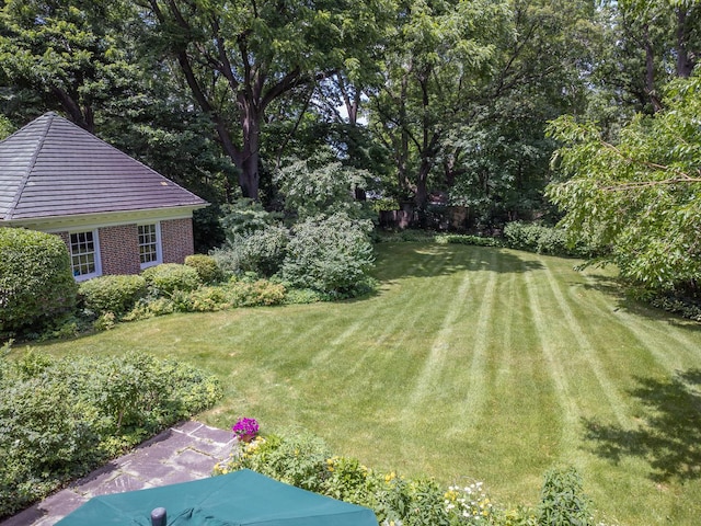 1286 W Stephenson St, Freeport, IL 61032 - view of green lawn
