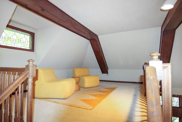16612 S Catawba Rd, Homer Glen, IL 60491 - sitting room featuring carpet and an upstairs landing