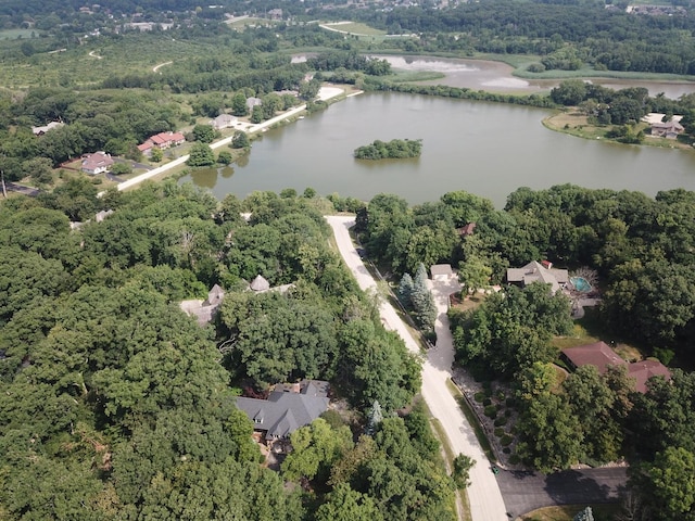 16612 S Catawba Rd, Homer Glen, IL 60491 - bird's eye view of a large body of water and a heavily wooded area