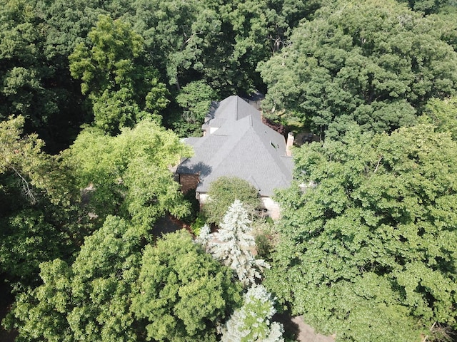 16612 S Catawba Rd, Homer Glen, IL 60491 - aerial view of property's location featuring a forest