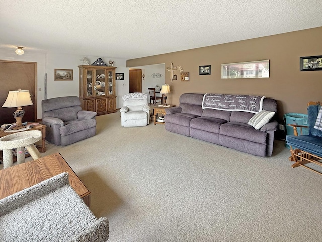 610 S 2nd Ave, Forreston, IL 61030 - living room with carpet and a textured ceiling