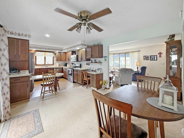 610 S 2nd Ave, Forreston, IL 61030 - dining room with ceiling fan, plenty of natural light, and a textured ceiling