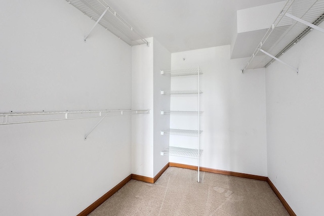 11020 S Keating Ave Unit 202, Oak Lawn, IL 60453 - walk in closet featuring carpet flooring