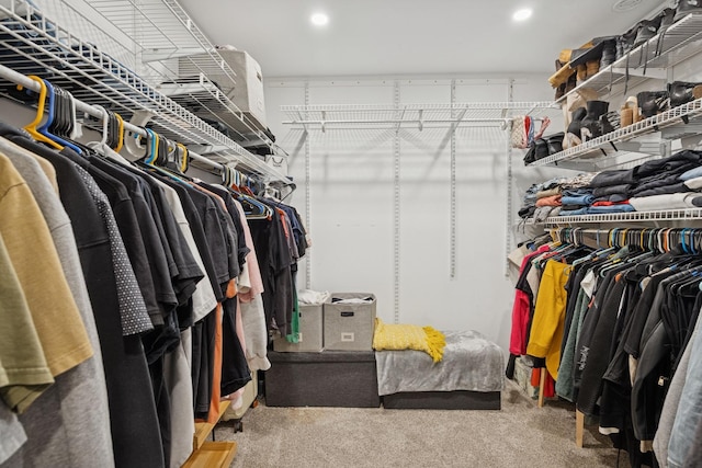 9N909 Koshare Trl, Elgin, IL 60124 - walk in closet featuring carpet