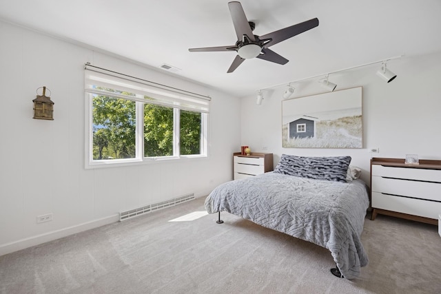 9N909 Koshare Trl, Elgin, IL 60124 - carpeted bedroom with rail lighting and ceiling fan