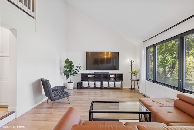 9N909 Koshare Trl, Elgin, IL 60124 - living room with high vaulted ceiling and wood finished floors