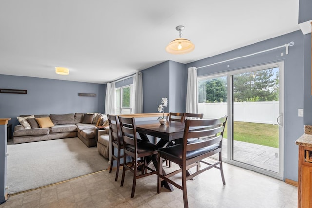 560 Larkspur Dr, Bolingbrook, IL 60440 - photo 8