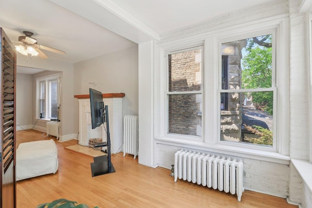 4702 N Campbell Ave Unit 2, Chicago, IL 60625 - exercise room with radiator, a ceiling fan, wood finished floors, and brick wall