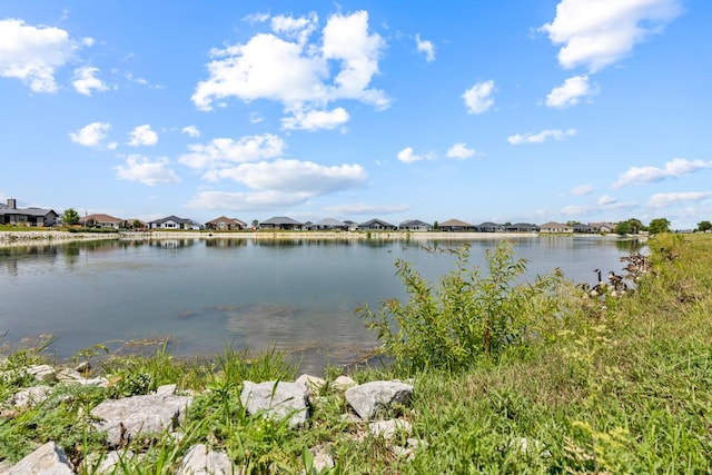 1751 Eagles Landing Dr N, Manteno, IL 60950 - photo 8