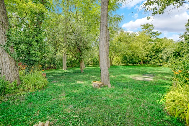 17720 Ashland Ave, Homewood, IL 60430 - view of green lawn