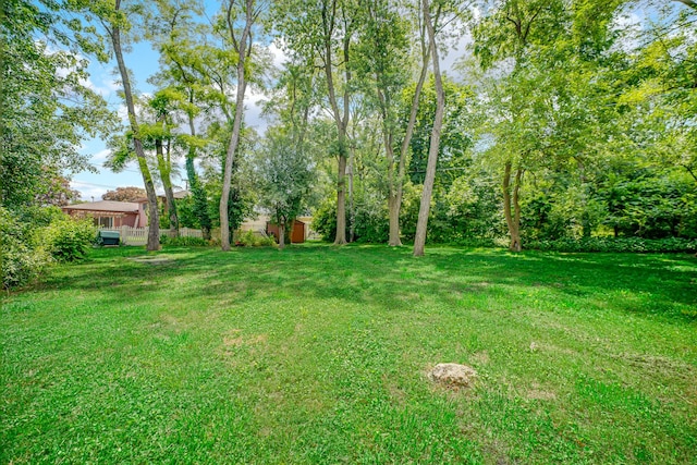 17720 Ashland Ave, Homewood, IL 60430 - view of green lawn