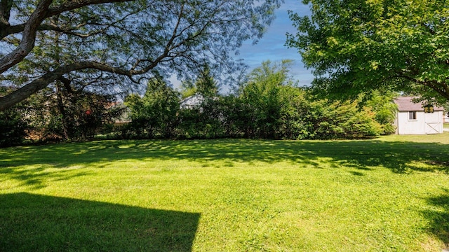 1409 N Maple St, Normal, IL 61761 - photo 54