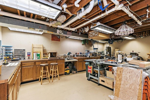 1642 Iowa Dr, Elk Grove Village, IL 60007 - below grade area featuring a workshop area