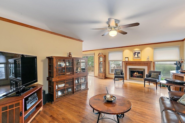 1642 Iowa Dr, Elk Grove Village, IL 60007 - living area with ornamental molding, healthy amount of natural light, a ceiling fan, a glass covered fireplace, and wood finished floors