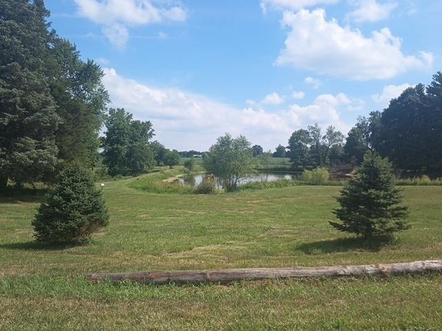 714 E County Line Rd, Sparland, IL 61565 - photo 4