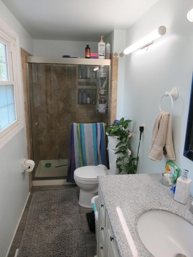 1819 Dunsford Ct, Schaumburg, IL 60194 - bathroom featuring vanity, a shower stall, and wood finished floors