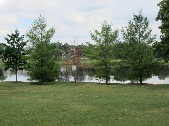 1819 Dunsford Ct, Schaumburg, IL 60194 - water view