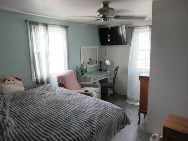 1819 Dunsford Ct, Schaumburg, IL 60194 - bedroom with a ceiling fan