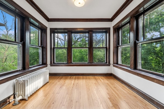 1404 W Thorndale Ave Unit 3, Chicago, IL 60660 - photo 4
