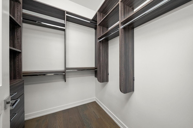 702 W Wellington Ave Unit 2N, Chicago, IL 60657 - spacious closet with dark wood-type flooring