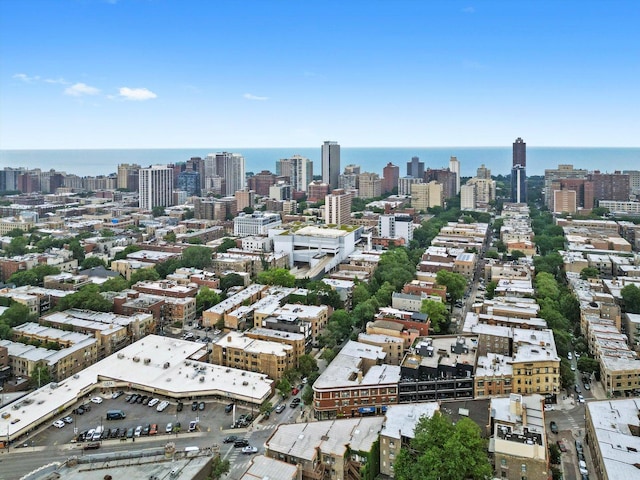 702 W Wellington Ave Unit 2N, Chicago, IL 60657 - view of urban area with a nearby body of water