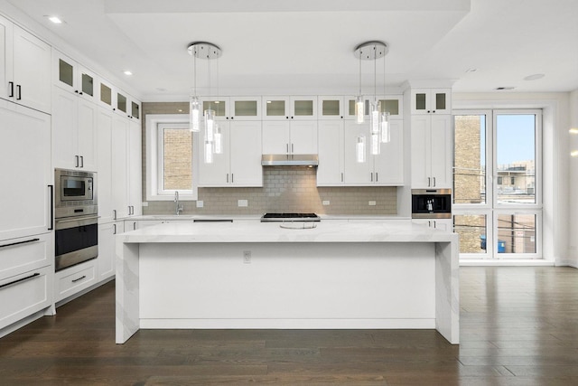702 W Wellington Ave Unit 2N, Chicago, IL 60657 - kitchen with stainless steel appliances, dark wood-style flooring, a spacious island, under cabinet range hood, and recessed lighting