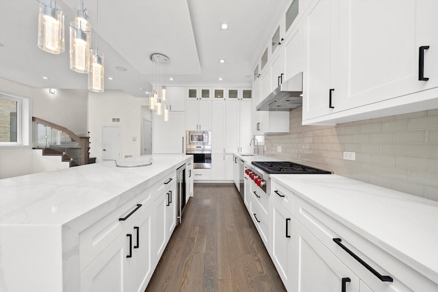 702 W Wellington Ave Unit 2N, Chicago, IL 60657 - kitchen featuring stainless steel appliances, under cabinet range hood, dark wood finished floors, tasteful backsplash, and light stone countertops