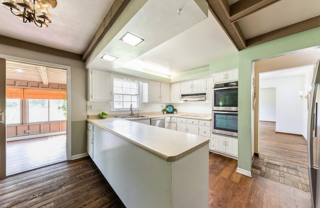 2527 Checker Rd, Long Grove, IL 60047 - kitchen featuring stainless steel appliances, a peninsula, under cabinet range hood, and light countertops