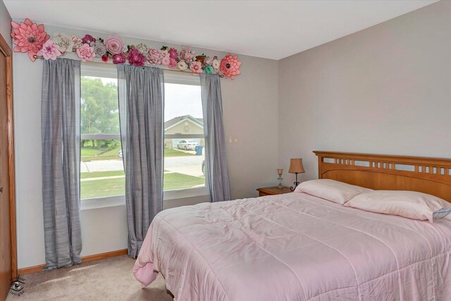 1613 Stefanie Ln, Bourbonnais, IL 60914 - photo 15