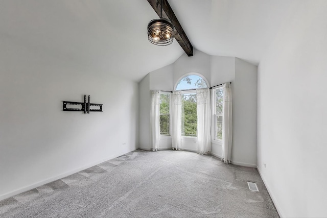 1329 Neskola Ct, Naperville, IL 60564 - carpeted spare room with baseboards