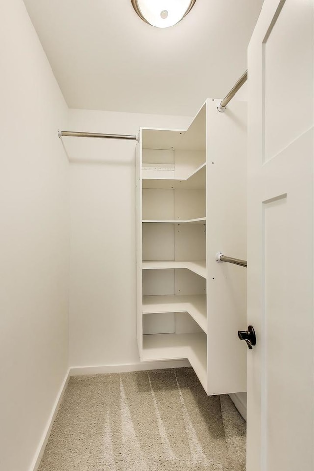 1329 Neskola Ct, Naperville, IL 60564 - walk in closet featuring carpet floors