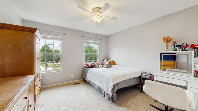 3756 Innesbrook Ct, Algonquin, IL 60102 - photo 27