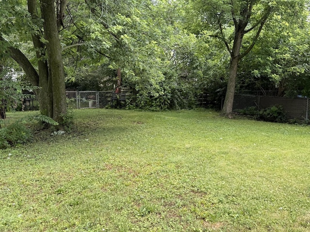 541 W Grove St, Bloomington, IL 61701 - view of yard
