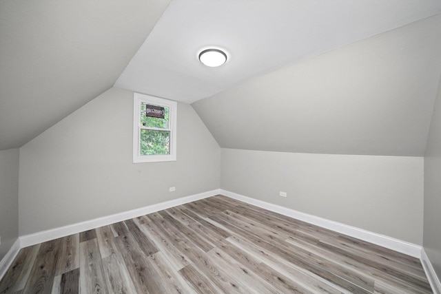 10823 S Ewing Ave, Chicago, IL 60617 - bonus room featuring wood finished floors and lofted ceiling