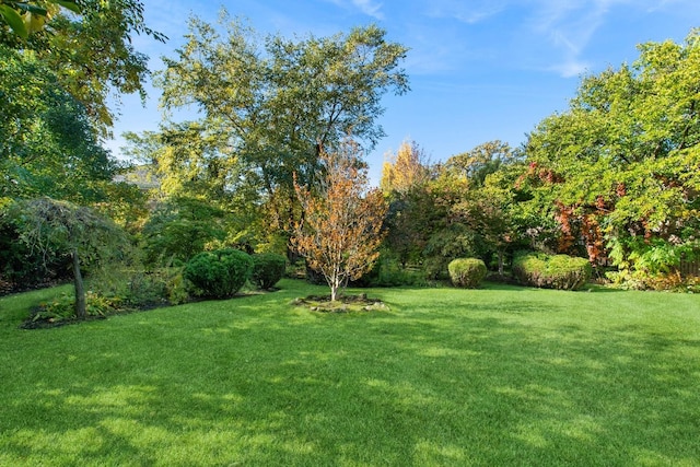 424 Sheridan Rd, Kenilworth, IL 60043 - view of green lawn