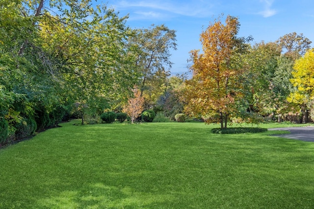 424 Sheridan Rd, Kenilworth, IL 60043 - view of green lawn