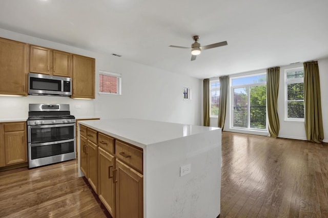 1414 S Halsted St Unit 3A, Chicago, IL 60607 - kitchen featuring appliances with stainless steel finishes, a ceiling fan, healthy amount of natural light, and wood finished floors