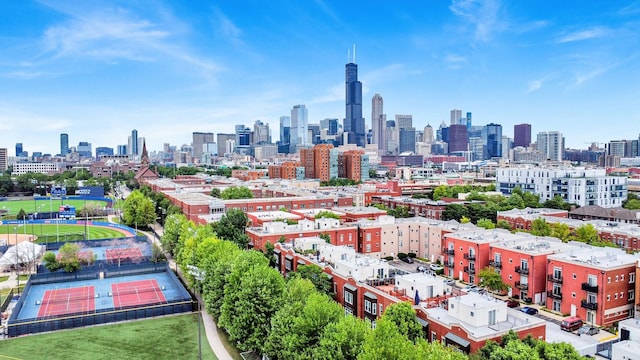 1414 S Halsted St Unit 3A, Chicago, IL 60607 - view of city skyline
