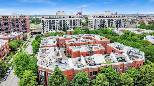 1414 S Halsted St Unit 3A, Chicago, IL 60607 - view of urban area