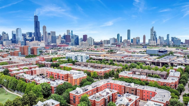 1414 S Halsted St Unit 3A, Chicago, IL 60607 - view of city skyline
